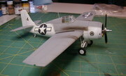 Grumman FM-2 Wildcat 1:48