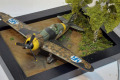 Fiat G.50 Freccia 1:72