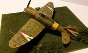 Reggiane Re.2000 1:72