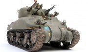 Canadian Skink 1:35