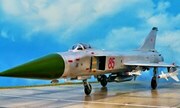 Sukhoi Su-15 Flagon-A 1:48