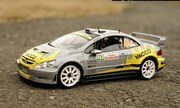 Peugeot 307 WRC 1:24