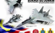 Sukhoi Su-30MKM Flanker-H 1:144