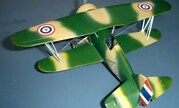 Curtiss Hawk Fighter Type 10 1:48