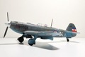 Yakovlev Yak-9 1:48