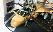 Grumman EA-6B Prowler 1:48