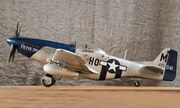 North American P-51D Mustang 1:24