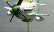 North American P-51 Mustang Egg Plane 1:Egg