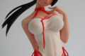 Beach Girl - Kasumi Dead or Alive 1:6