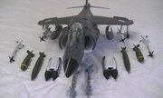 Hawker Sea Harrier FRS.1 1:24