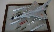 PLAF J-10A Vigorous Dragon 1:48