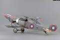 Nieuport 21 1:32