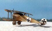 Fokker D.V 1:48