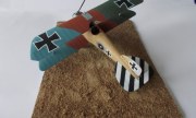 Albatros D.III 1:48