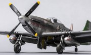 North American P-51D-20 Mustang 1:48