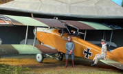 Albatros C.X 1:48