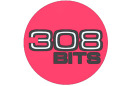 308 Bits Logo