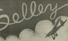 Selley Logo