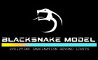 BlackSnake Model Logo
