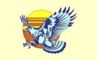 Hawk Graphics Logo