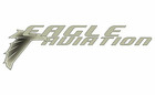 Eagle Aviation Logo