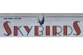 1:72 Hawker Hurricane (Skybirds )