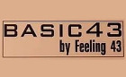 Basic 43 Logo