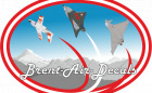 Brent-Air-Decals Logo