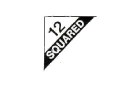 12 Squared Logo